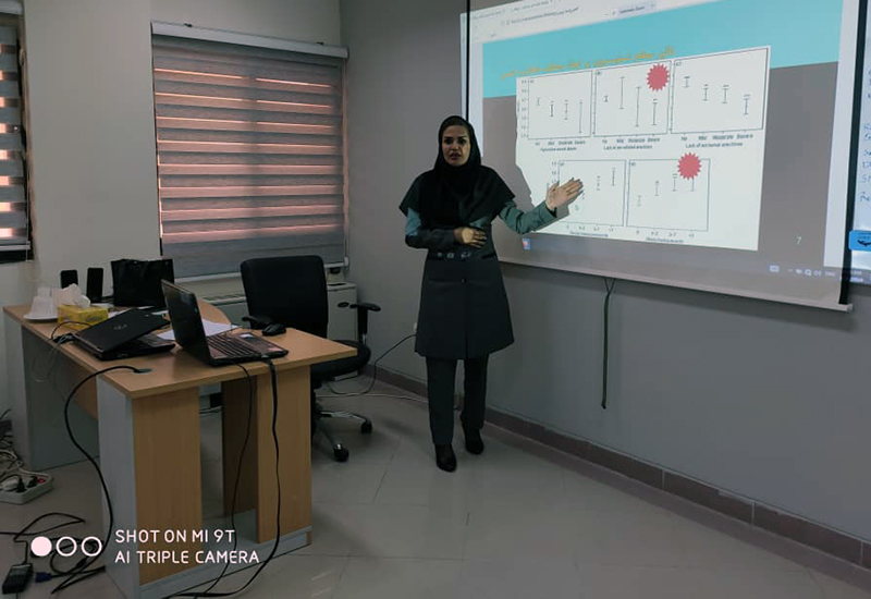 خانواده پایدارمنطقه6