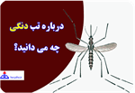 با تب دانگ (Dengue Fever) آشنا شوید